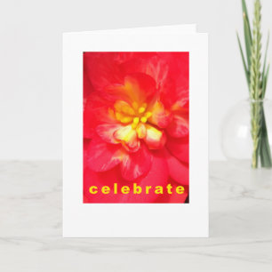 Celebrar Cartão Ocasion