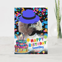 Celebrar Feliz Cartão de Saudação de Poodle de Ani