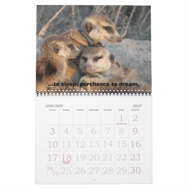 Celebrar Zaphod - Calendário (Jan 2027)