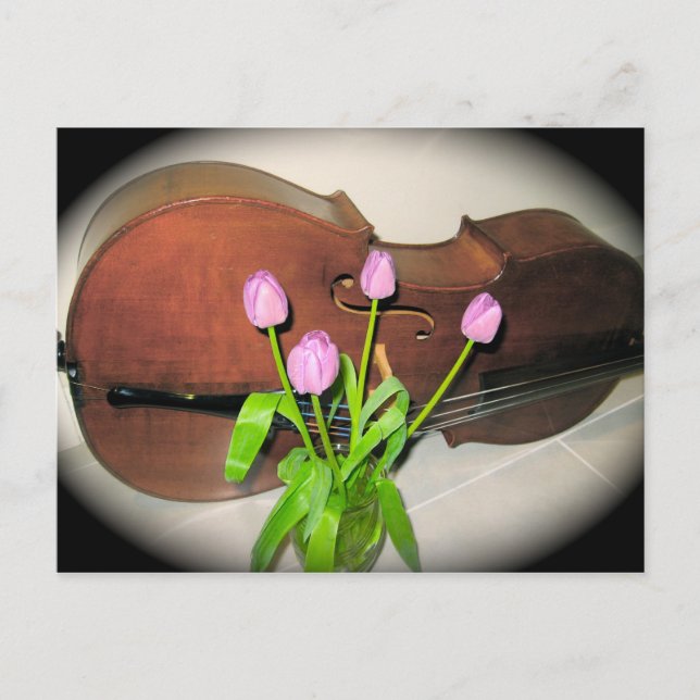 Cello com cartão postal Tulips (Frente)