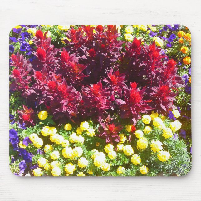 Celosia Marigold Petunia Flower Patch Mousepad (Frente)