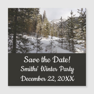 Cena da Montanha Snowy de inverno em Montana