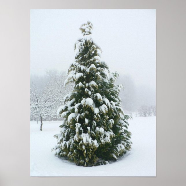 Cena de inverno poster (Frente)