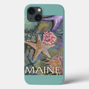 Cena de MaineTidepool