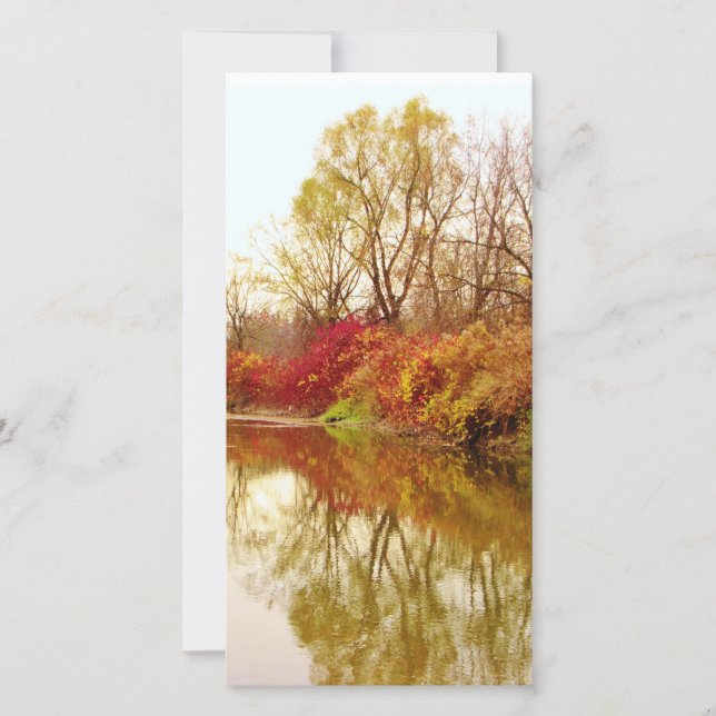 Cena do Rio da Floresta em Queda (Frente)