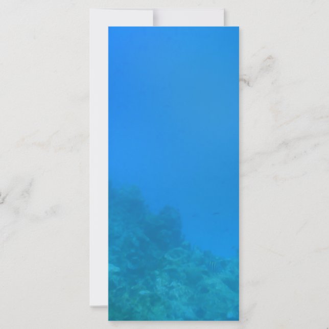 Cena Submarina (Frente)