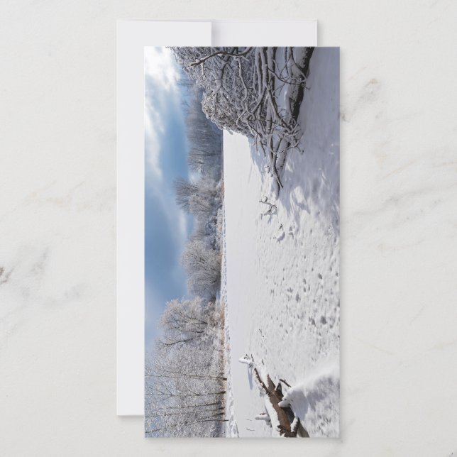 cenas de inverno ao longo da lagoa e florestas de  (Frente)