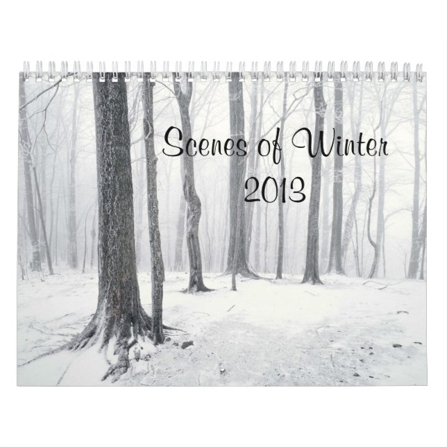 Cenas do inverno de 2013 Calendário (Capa)