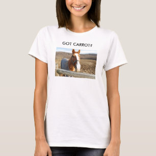 CENOURA OBTIDA? - camisa