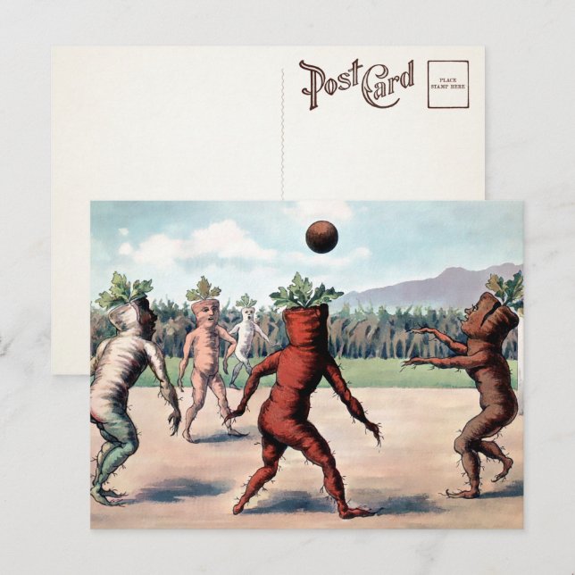 Cenouras Vitorianas Jogando Bola Cartão Postal  (Frente/Verso)