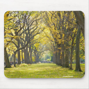 Central Park Mousepad