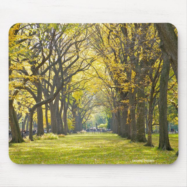 Central Park Mousepad (Frente)