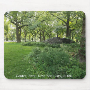 Central Park Nature Nova Iorque Trees Mousepad