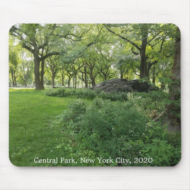 Central Park Nature Nova Iorque Trees Mousepad (Frente)