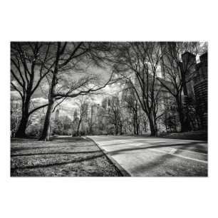 Central Park, Nova Iorque Foto Impressão