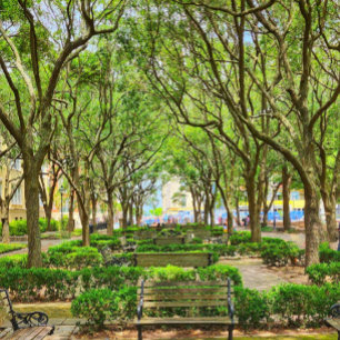 Centro Charleston, Poster do edifício SC