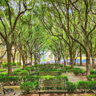 Centro Charleston, Poster do edifício SC