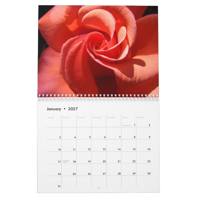 Centro cor-de-rosa do calendário de meus presentes (Jan 2027)