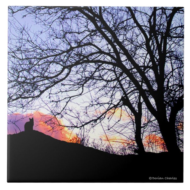 Cerâmica "Amor no por do sol: Perda azulejo memorável de um (Frente)