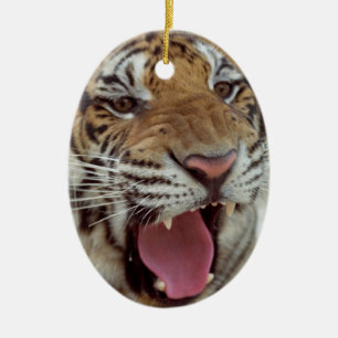 Cerâmica Ano de ornamento do tigre