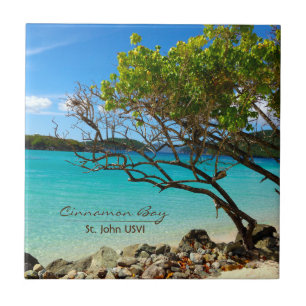 Cerâmica Arte tropical do azulejo de St John USVI da baía