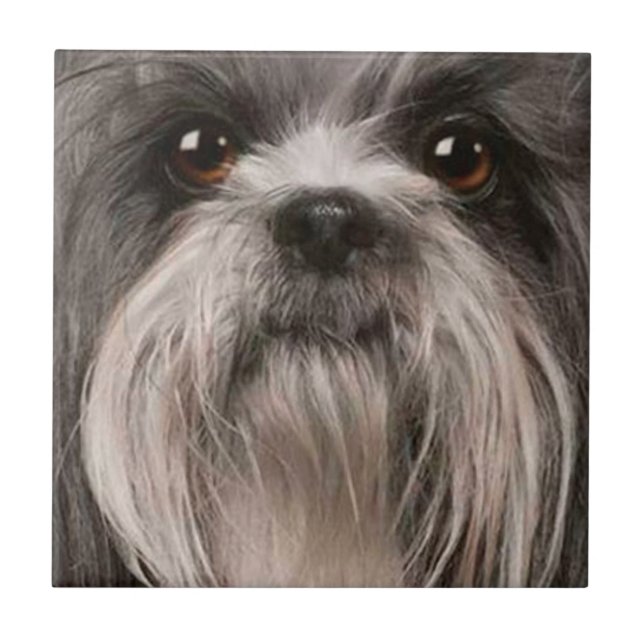 Cerâmica azulejo 2 do animal de estimação (Frente)