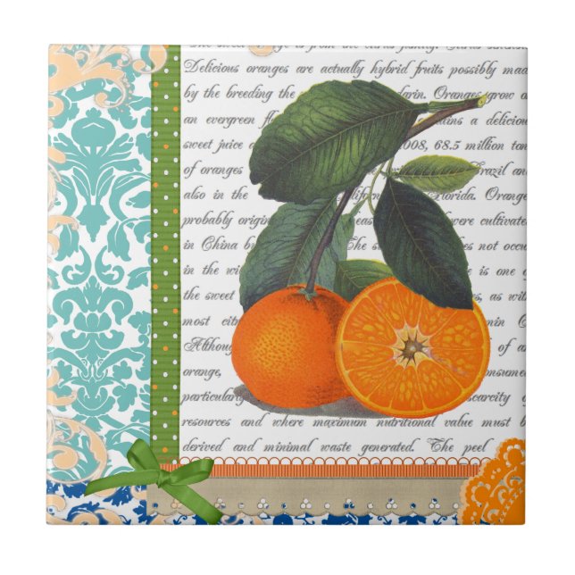 Cerâmica Azulejo alaranjado da cozinha da fruta de Florida (Frente)