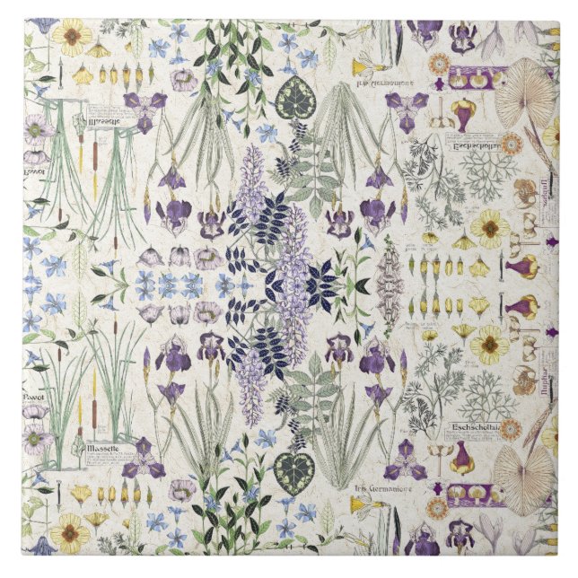 Cerâmica Azulejo botânico das flores de Nouveau da arte (Frente)