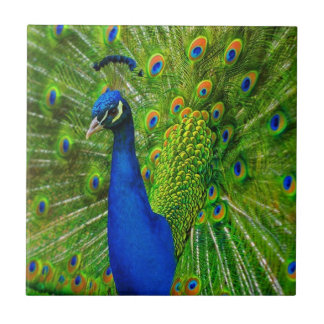 CERÂMICA  AZULEJO CERAMIC DE PEACOCK AZUL E VERDE