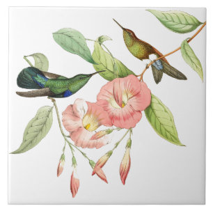 Cerâmica Azulejo cerâmico Aves de Cãibra Flores Rosa
