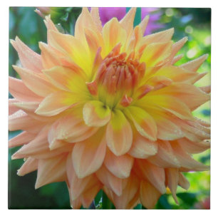 CERÂMICA AZULEJO CERÂMICO COM A DAHLIA COM COR DE PEACH