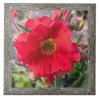 Cerâmica azulejo cerâmico de 6" x 6" com excelente Rosa ver
