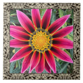 Cerâmica azulejo cerâmico de 6"x 6" com Magenta Gazania