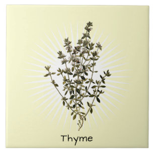 Cerâmica Azulejo cerâmico de Arte Botânica de Thyme Herb Vi