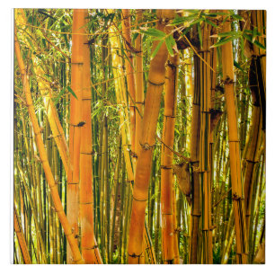 Cerâmica Azulejo cerâmico de bambu da arte 6 x 6