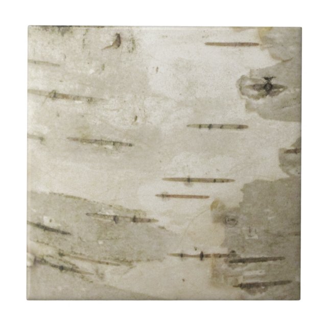 Cerâmica Azulejo cerâmico de Birch (Frente)