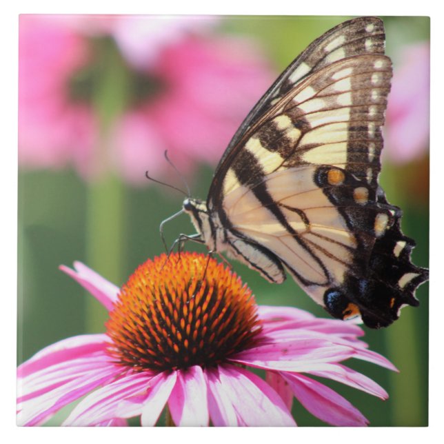 Cerâmica Azulejo cerâmico de borboletas amarelas (Frente)