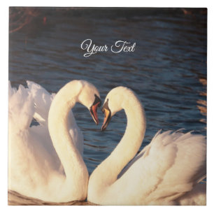 Cerâmica Azulejo cerâmico de Cisnes Brancas