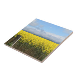 Cerâmica Azulejo cerâmico de colheita de ouros