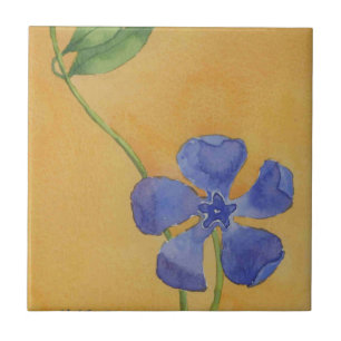 Cerâmica azulejo cerâmico de cozinha "Simplesmente Vinca"