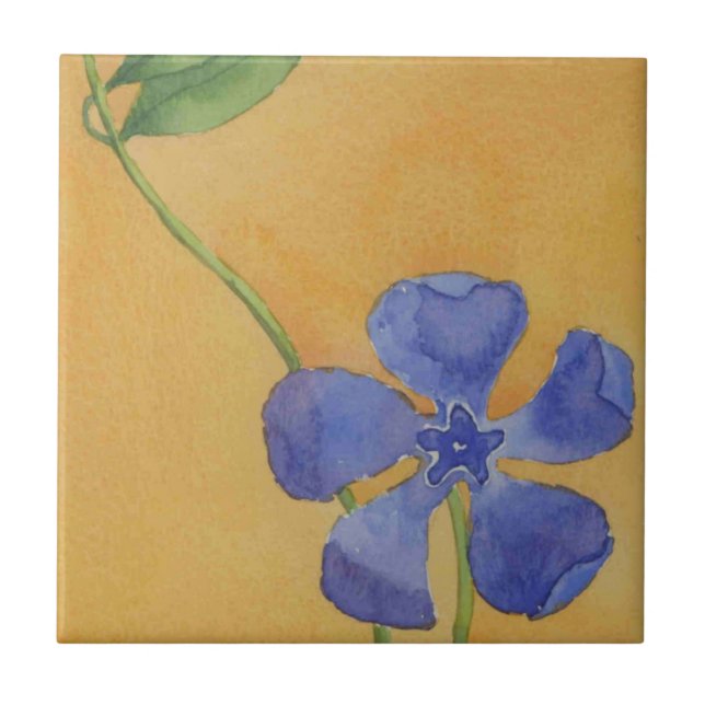 Cerâmica azulejo cerâmico de cozinha "Simplesmente Vinca" (Frente)
