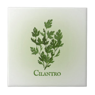 Cerâmica Azulejo cerâmico de Design de plantas Cilantro