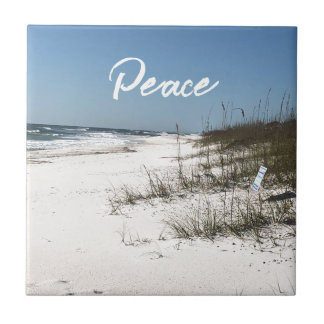 Cerâmica Azulejo cerâmico de espuma do mar