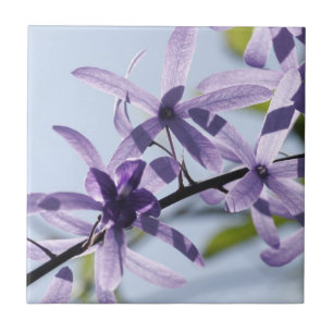 Cerâmica Azulejo cerâmico de Flor Roxo