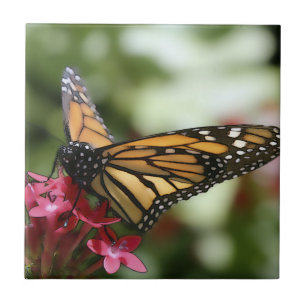 Cerâmica Azulejo cerâmico de flores de borboleta