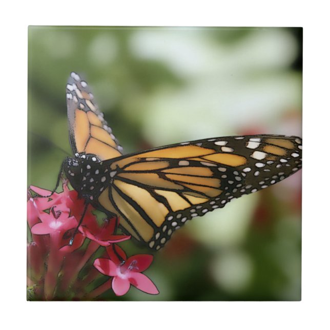 Cerâmica Azulejo cerâmico de flores de borboleta (Frente)