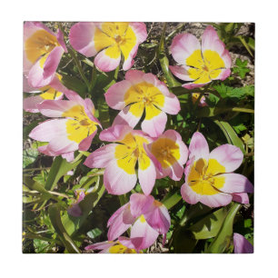 Cerâmica Azulejo cerâmico de flores rosa e amarelas