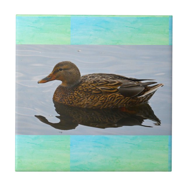 Cerâmica Azulejo Cerâmico de Foto Duck (Frente)