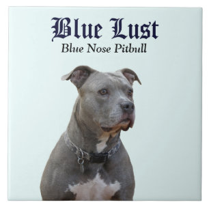 Cerâmica Azulejo cerâmico de Lust azul guardião