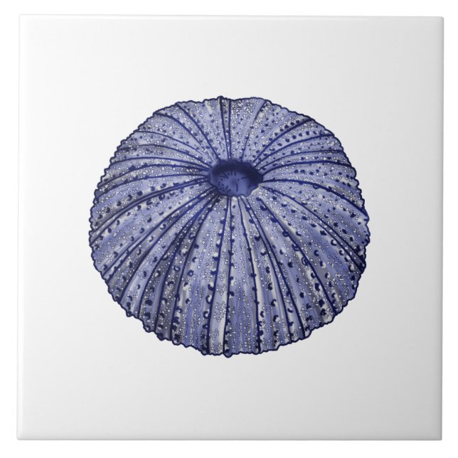 Cerâmica Azulejo cerâmico de ouriço-do-mar azul e branco (Frente)